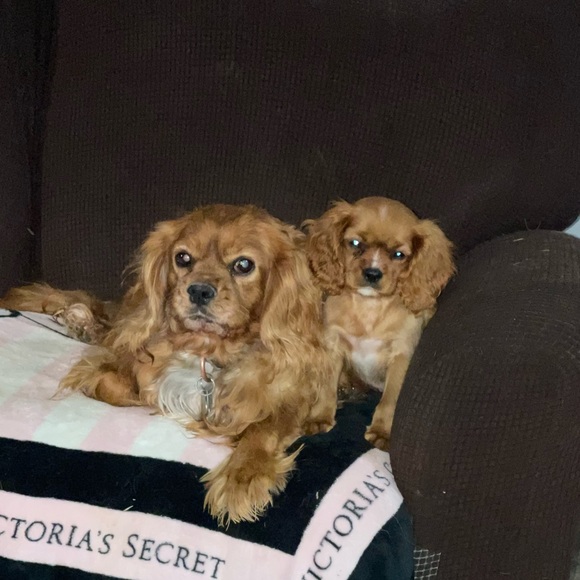 Meet your Posher, Sarah - Picture 12 of 16